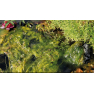 Söll Blanketweed Remover 5 kg