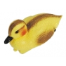 Kachnička