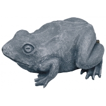Žába