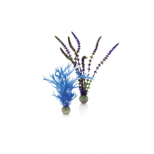 biOrb rostliny modrá a fialová