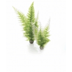 biOrb dekorace Zimní kapradí