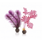 biOrb dekorace Růžové rostliny malé