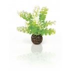 biOrb dekorace Zelená řasa