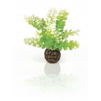 biOrb řasa zelen&aacute;