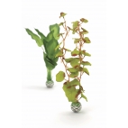 biOrb dekorace Rostliny zelené střední