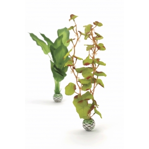 biOrb dekorace Rostliny zelen&eacute; středn&iacute;