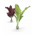 biOrb dekorace Rostliny zelená a fialová střední