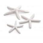 biOrb dekorace Mořské hvězdice bílé