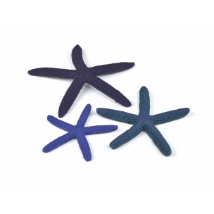biOrb mořské hvězdice modré