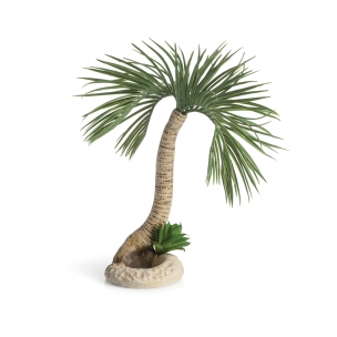biOrb palma Seychely, velká 