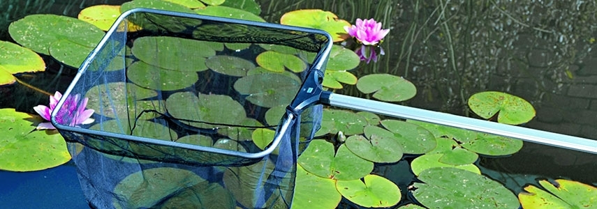 N&aacute;řad&iacute; a př&iacute;slu&scaron;enstv&iacute; k p&eacute;či o jez&iacute;rko